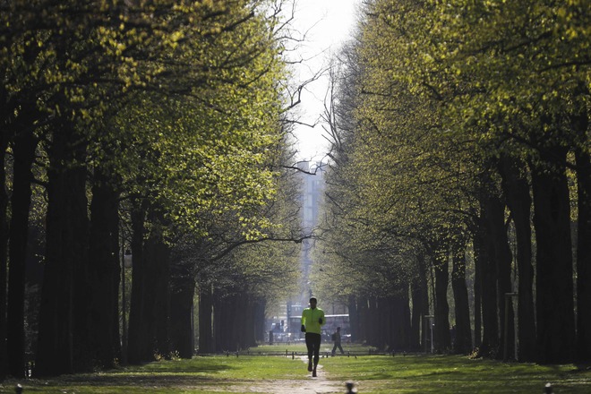 A jogger runs in the morning light through the Tiergarten Park in Berlin on April 16, 2019 (AFP photo)